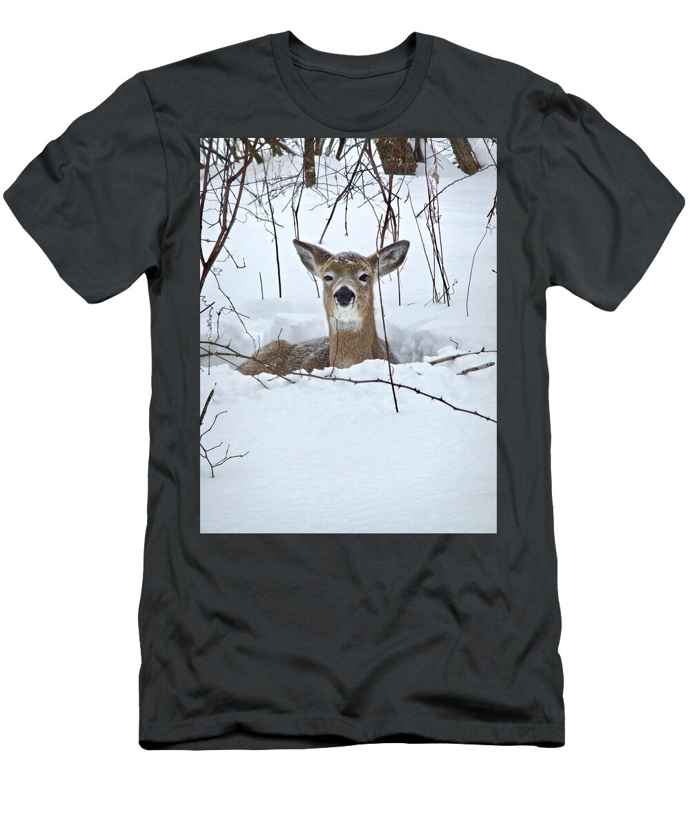 Snow T-Shirt featuring the photograph Snow Deer by Kathy Chism