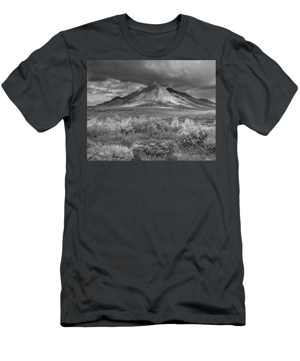 Disk1215 T-Shirt featuring the photograph Snow Dusted Ogilvie Mountains Yukon by Tim Fitzharris