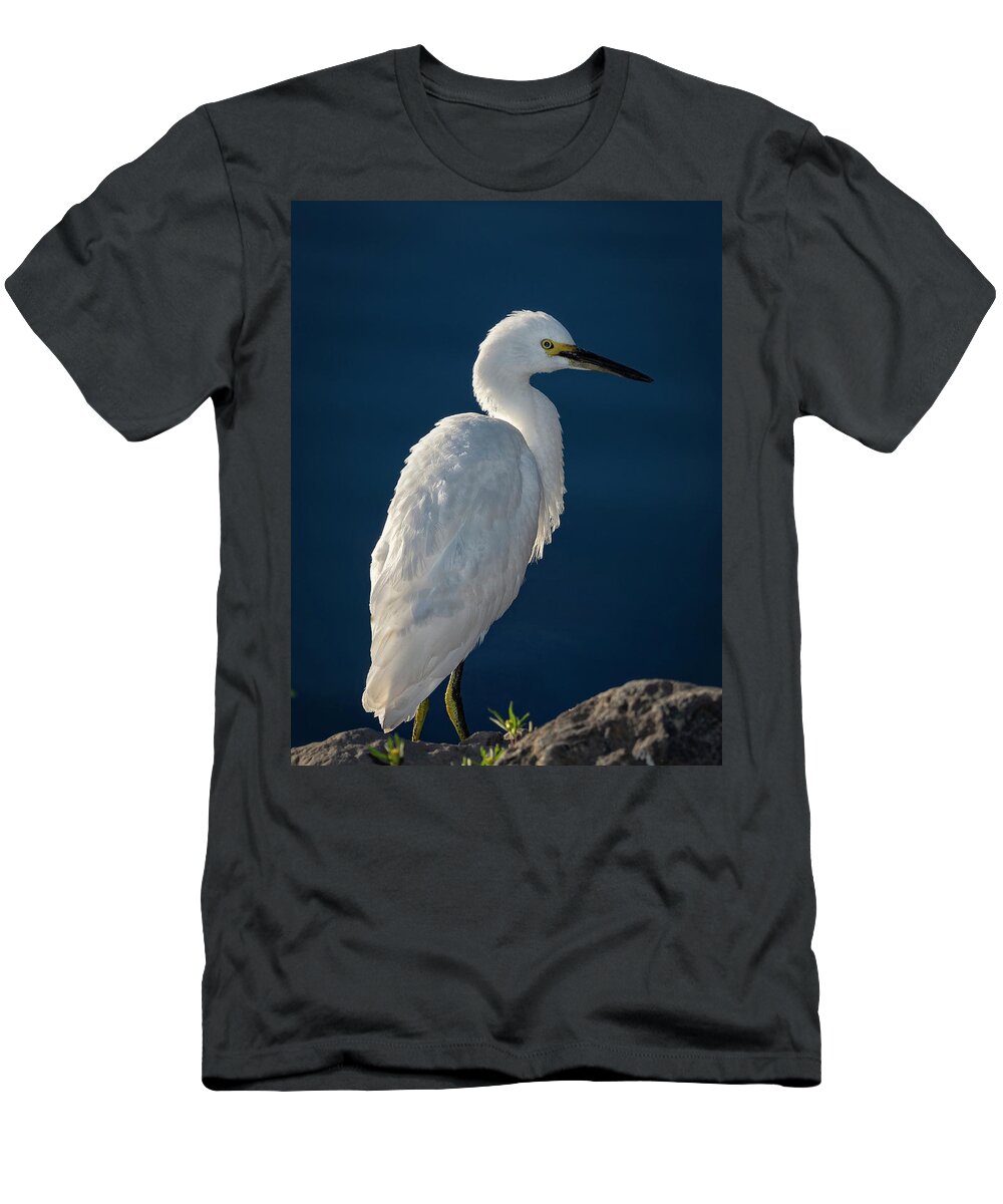 Snowy White Egret T-Shirt featuring the photograph Snowy White Egret 5 by Rick Mosher