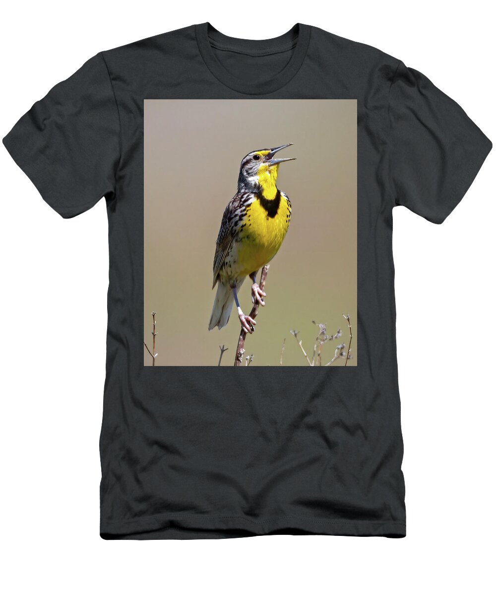 Meadowlark T-Shirt featuring the photograph Song of the Meadowlark by Jack Bell