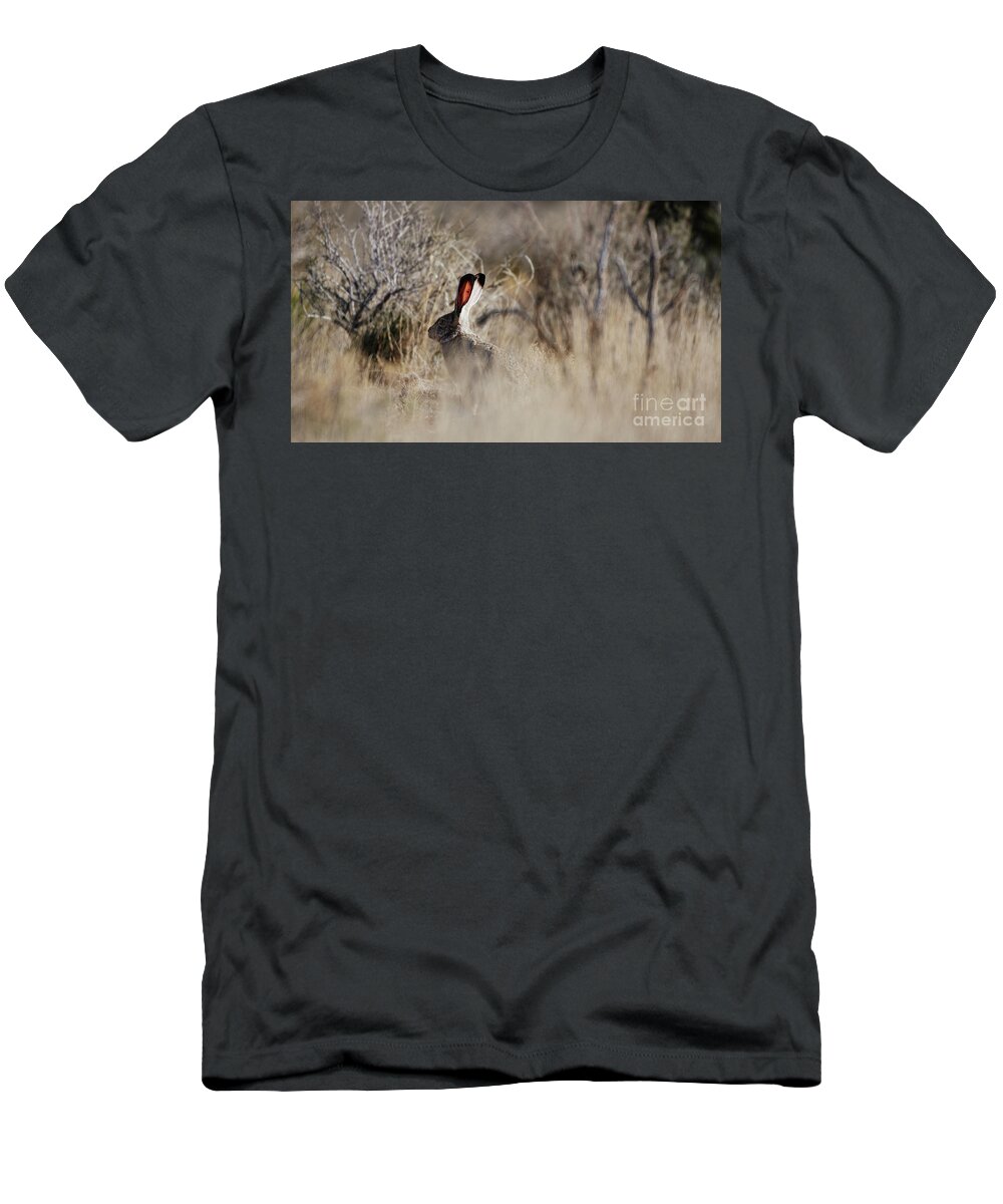 Desert Rabbit T-Shirt featuring the photograph Southwest Desert Hare by Robert WK Clark