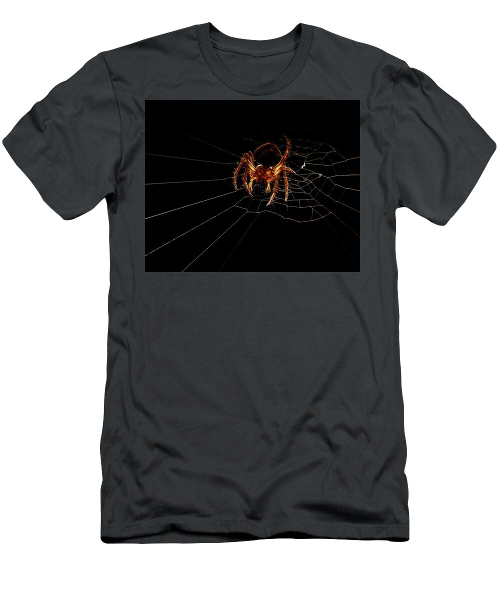 Animal T-Shirt featuring the photograph Macro Photography - Spider on Web by Amelia Pearn