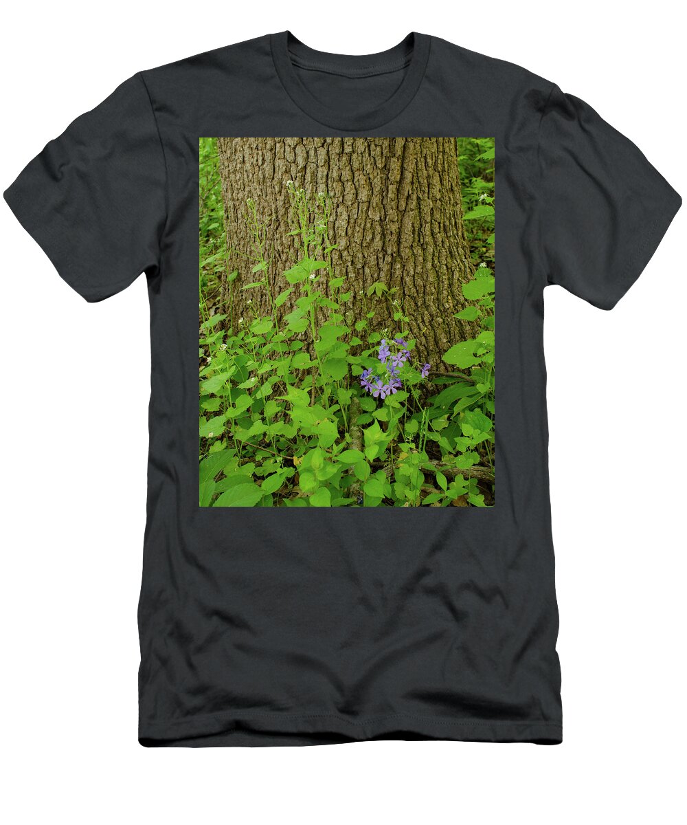Flower T-Shirt featuring the photograph Splash of Purple by Jeff Phillippi