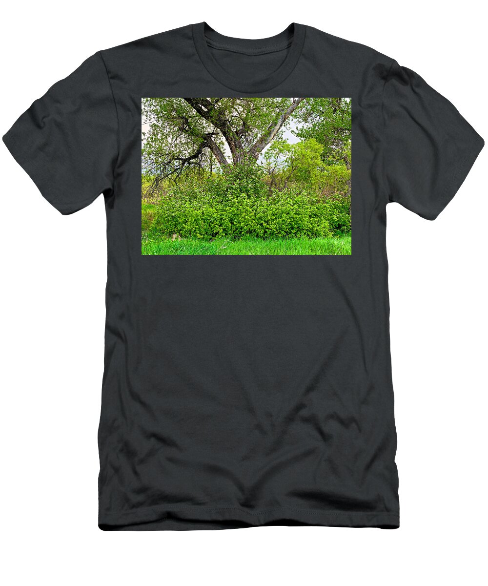 Spring T-Shirt featuring the photograph Spring 2019 Study 11 by Robert Meyers-Lussier