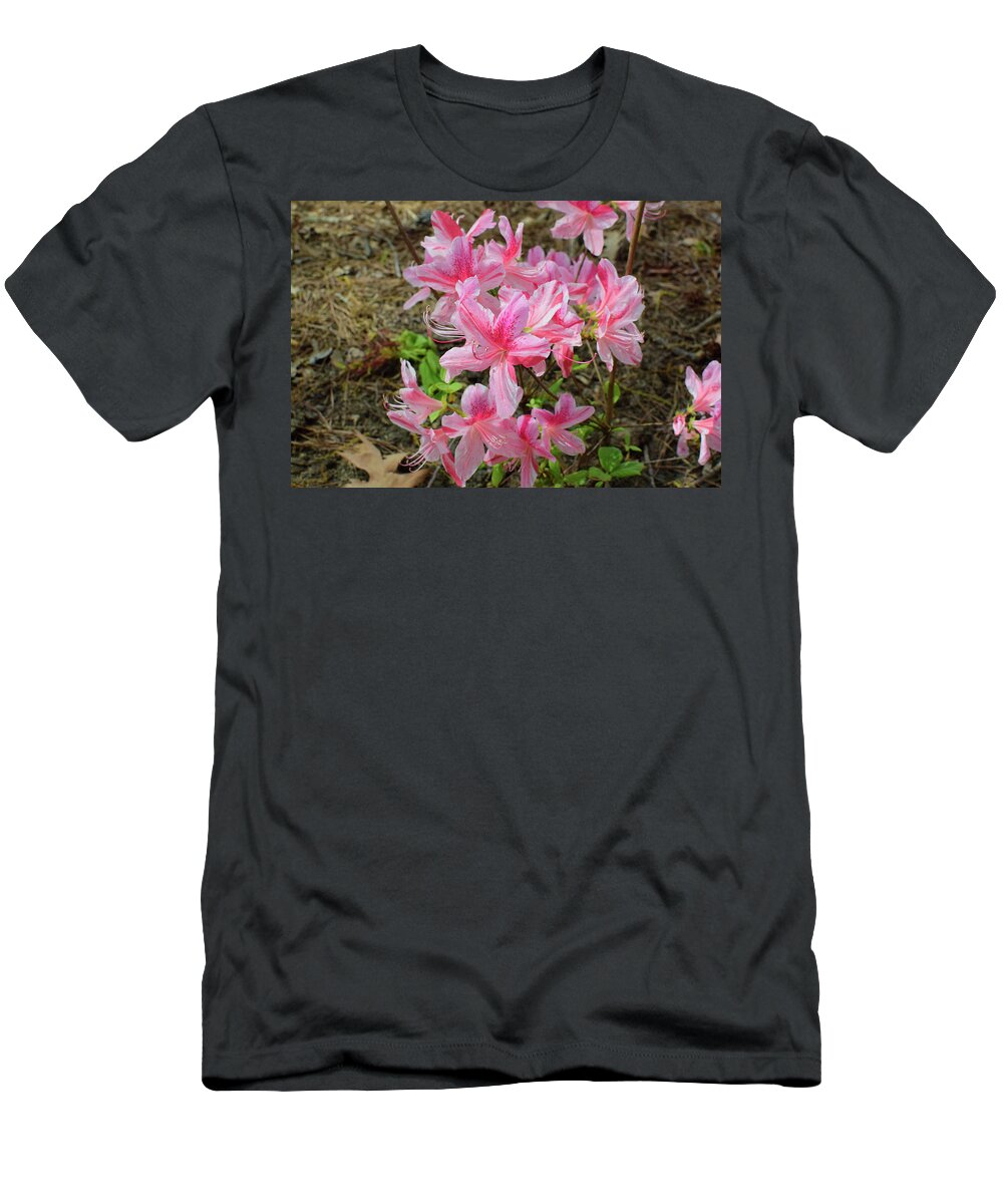 Azalea T-Shirt featuring the photograph Spring Azaleas in Pink by Nicole Lloyd