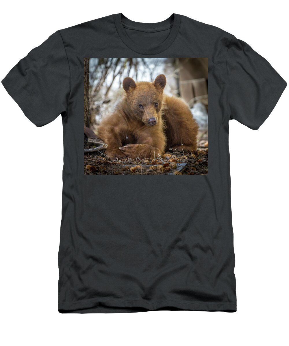 Bear T-Shirt featuring the photograph Spring Bloom by Kevin Dietrich
