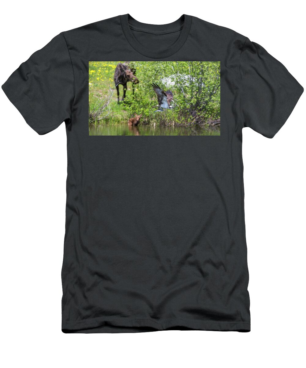 Calf T-Shirt featuring the photograph Spring Deliveries by Kevin Dietrich