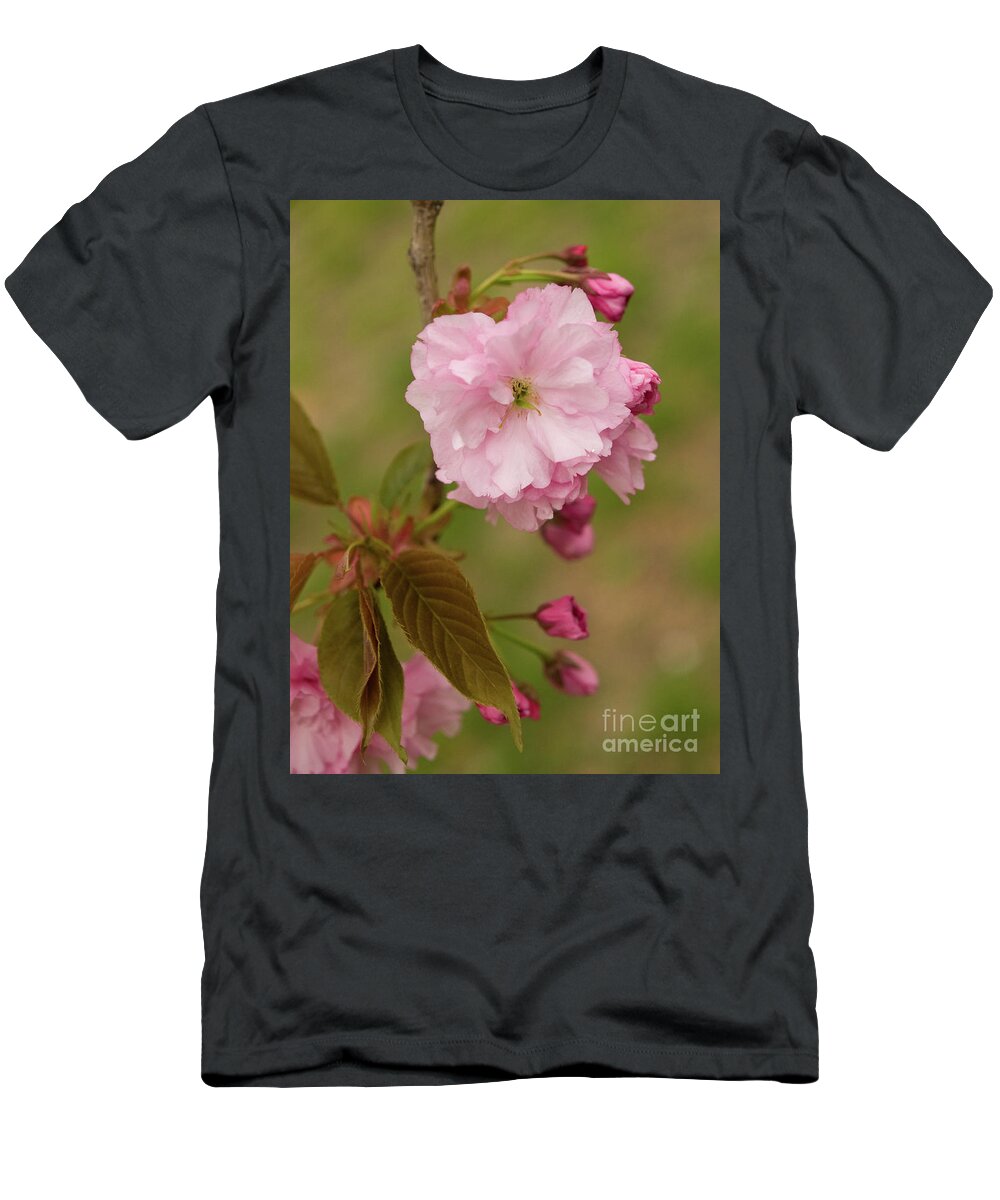 Central Park T-Shirt featuring the photograph Springtime Blossoms In Central Park 10 by Dorothy Lee