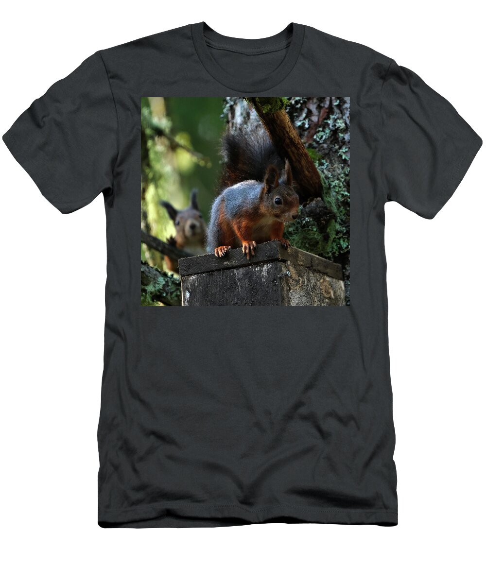 Sweden T-Shirt featuring the pyrography Squirrels by Magnus Haellquist