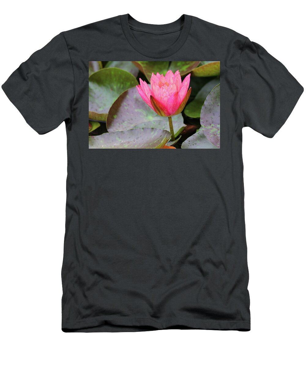 Water Lily T-Shirt featuring the photograph Standing Firm by Mary Anne Delgado