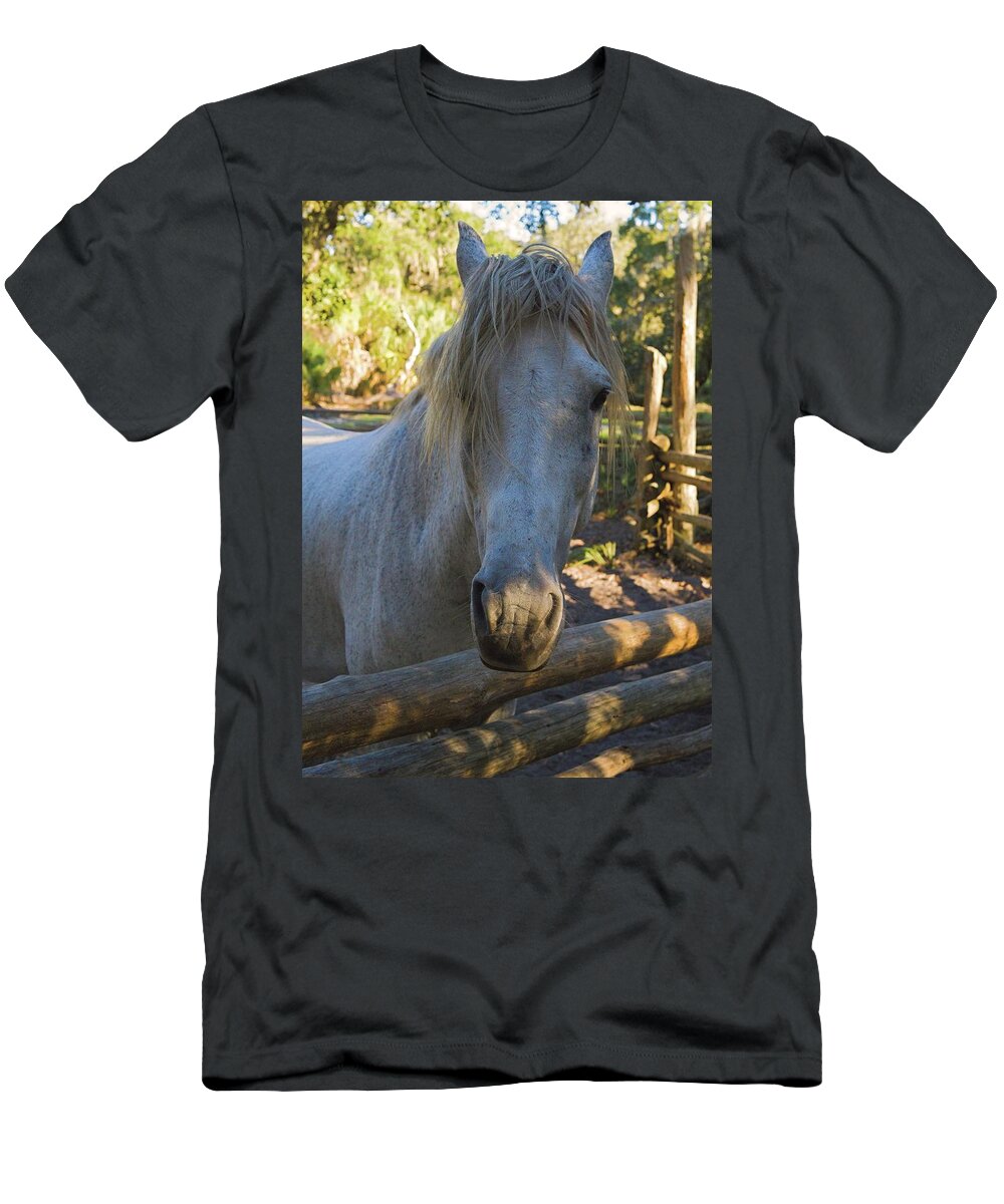 Horse T-Shirt featuring the photograph Still Waiting for a Cowboy by T Lynn Dodsworth