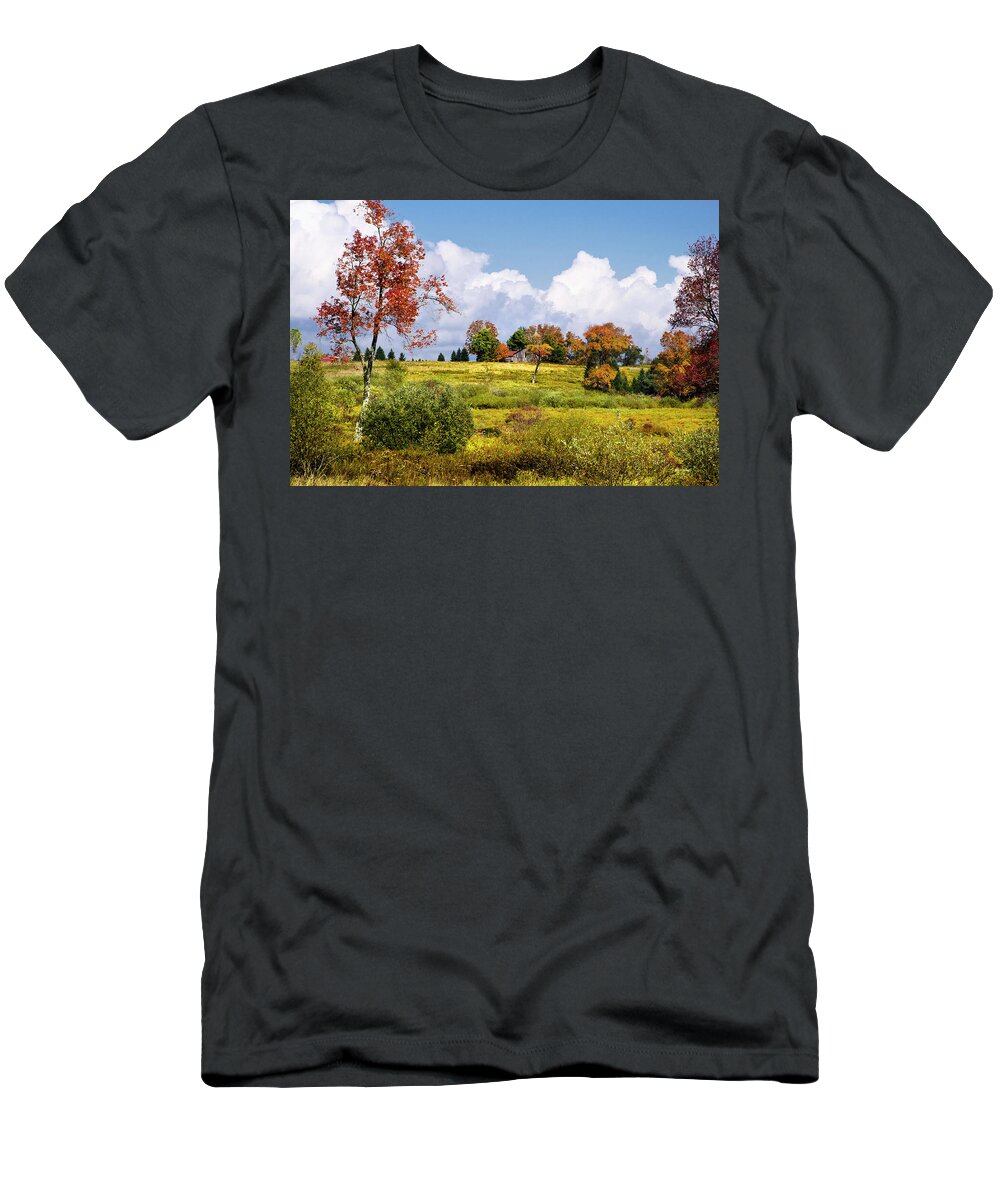 Landscape T-Shirt featuring the photograph Fall Trees On Country Landscape by Christina Rollo