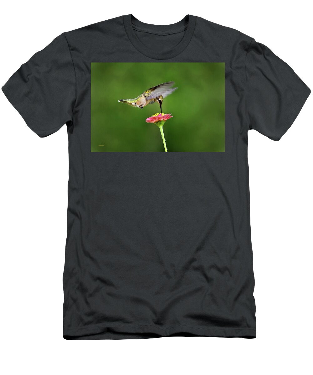 Hummingbird T-Shirt featuring the photograph Sun Sweet by Christina Rollo