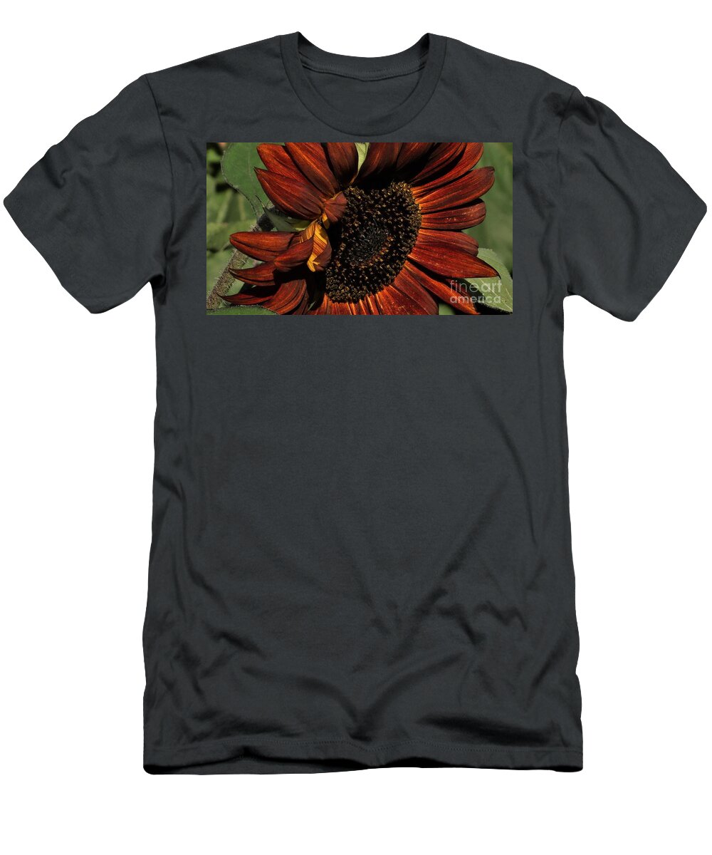 #sunflower #sunflowerprints #flower #flowerprints #summergarden #jlinnzart #tallflowers #burgundy ##burgundyflowers #sunny #flowers #sunflowers Tall Sunflowers That Are Burgundy With Huge Plate Sized Heads. Good Source Of Food For Wildlife. T-Shirt featuring the photograph Sunflower 2 by J L Zarek