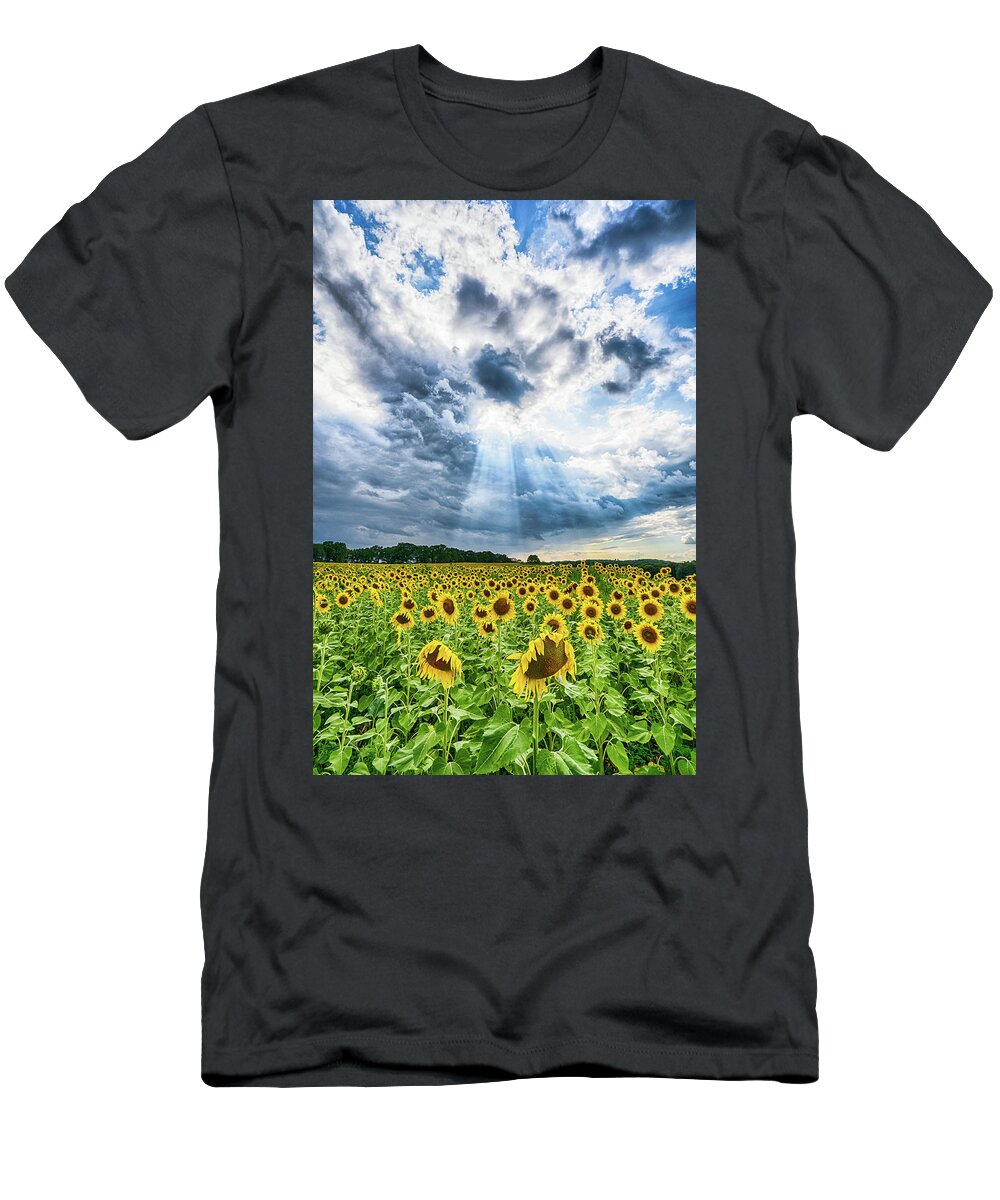 Sunflower T-Shirt featuring the photograph Sunflower Field by Brad Bellisle