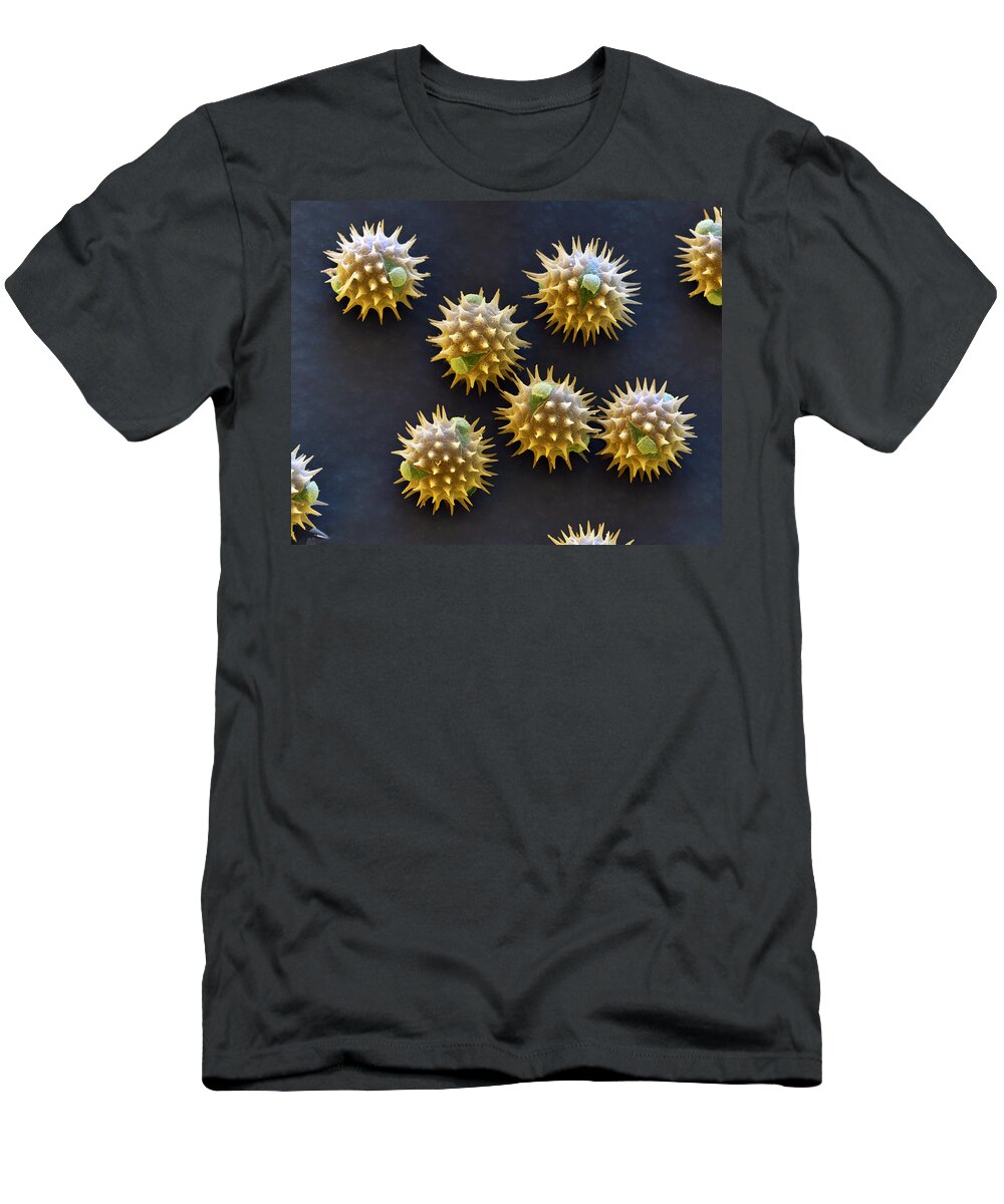 Allergen T-Shirt featuring the photograph Sunflower Pollen Helianthus Annuus by Meckes/ottawa