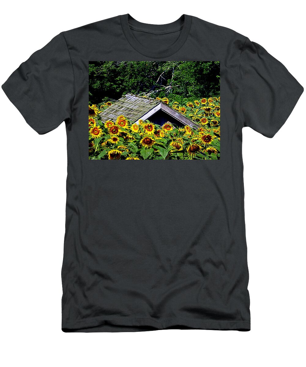 Sunflower T-Shirt featuring the photograph Sunflower Takeover by Lori Seaman