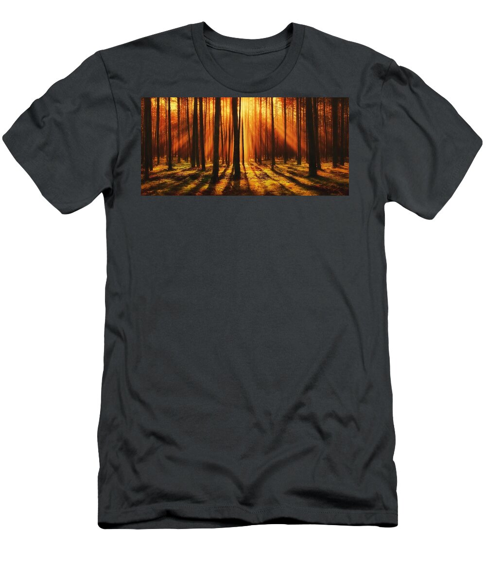Forest T-Shirt featuring the photograph Sunlight Forest by Teresa Trotter