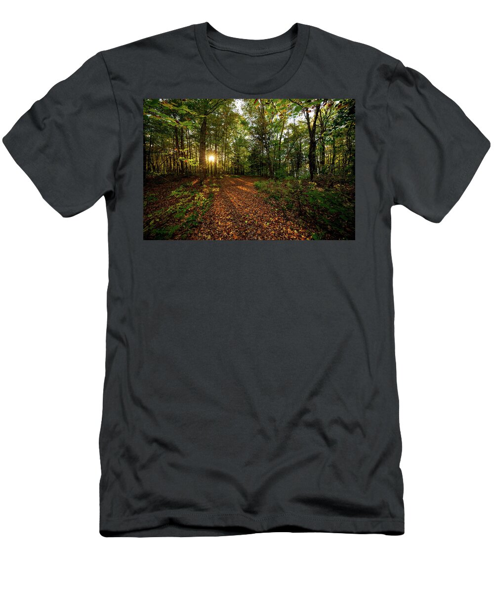 Sunset T-Shirt featuring the photograph Sunset in the forrest #1381 by Michael Fryd