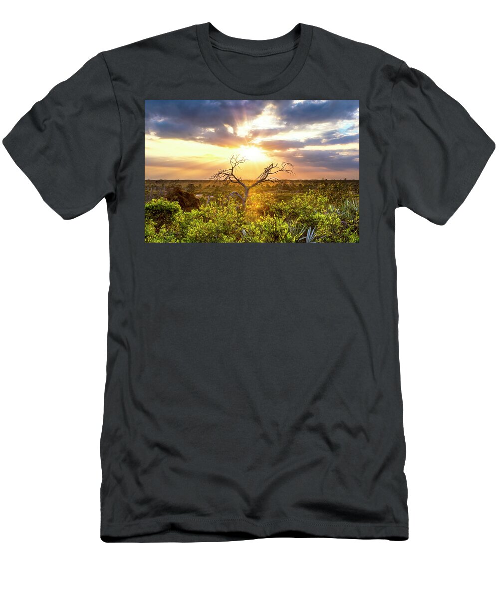 Clouds T-Shirt featuring the photograph Sunset Tree Painting by Debra and Dave Vanderlaan