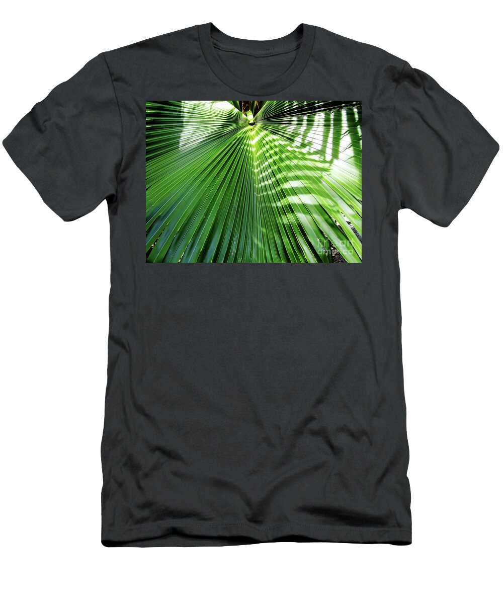Palm T-Shirt featuring the photograph Sunshine On The Palm Frond by D Hackett