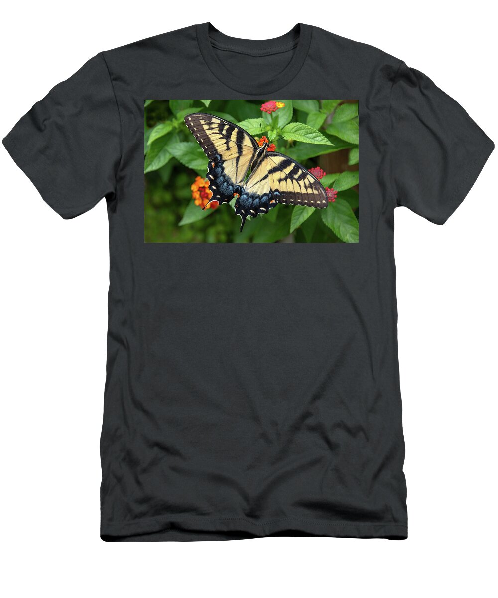 Butterfly T-Shirt featuring the photograph Swallowtail #3 by Minnie Gallman