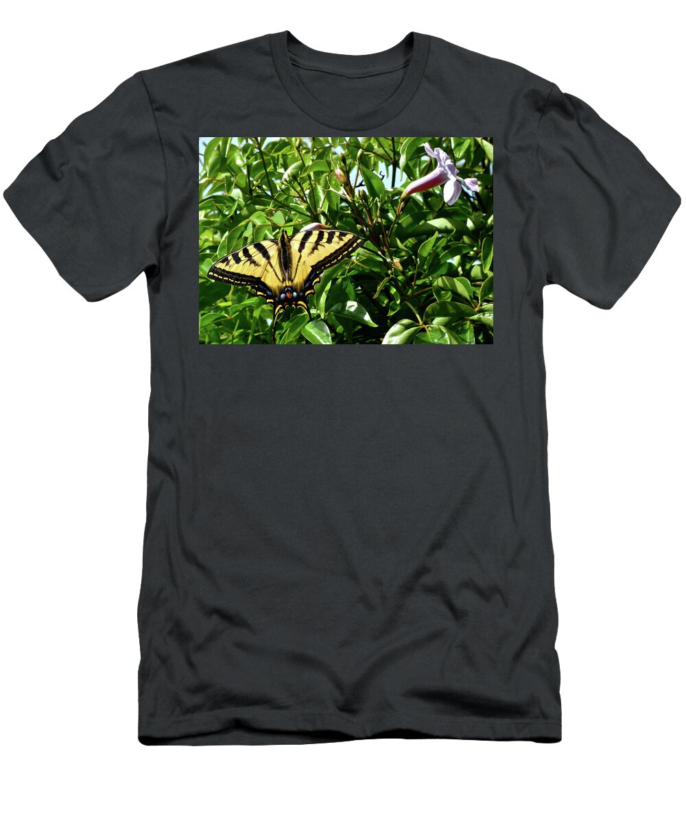 Butterflies T-Shirt featuring the photograph Swallowtail on Mandevilla by Amelia Racca