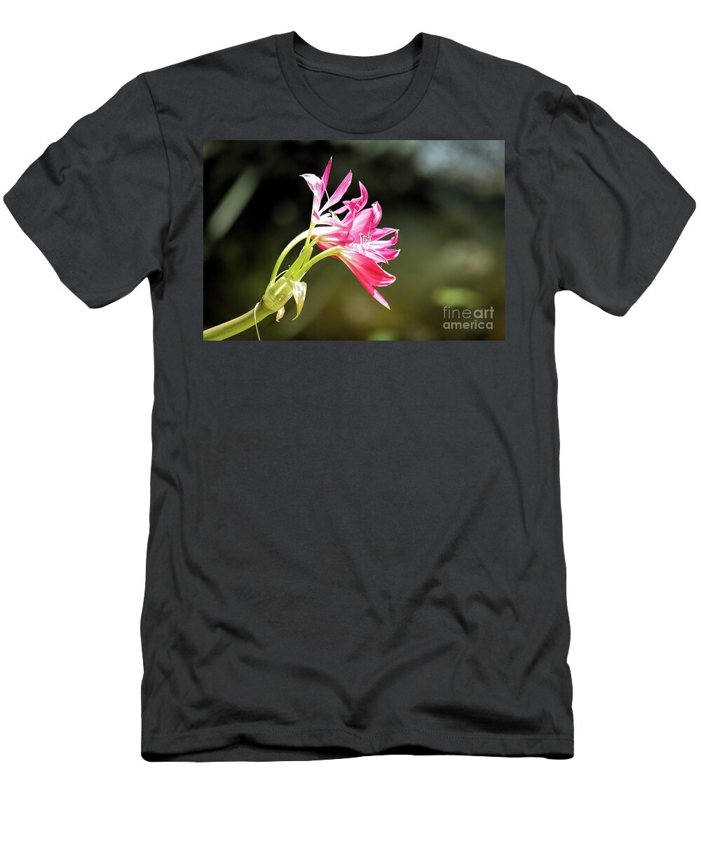 Swamp Lily T-Shirt featuring the photograph Swamp Lily by Felix Lai