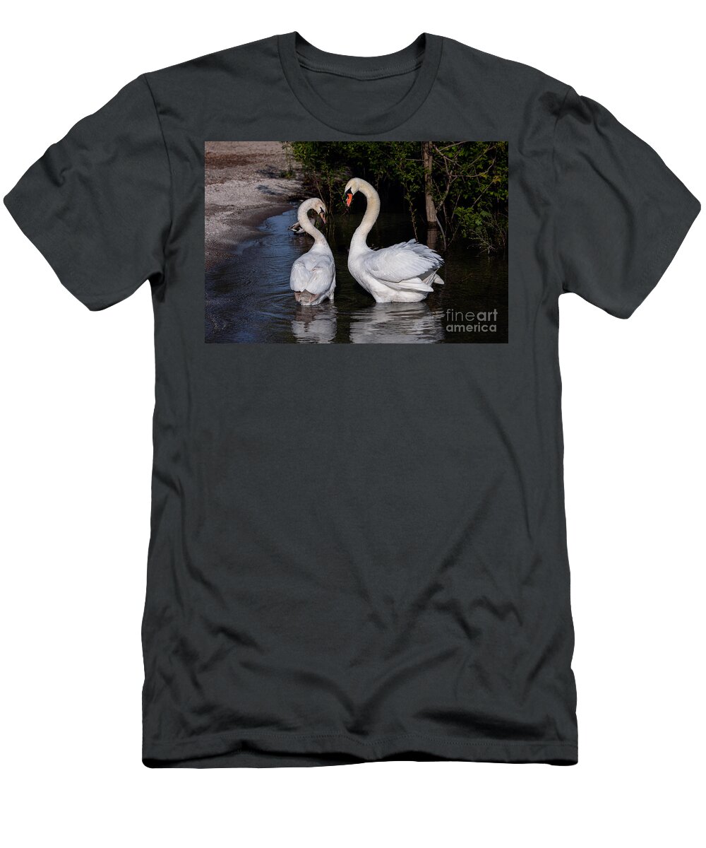 Photography T-Shirt featuring the photograph Swan Courtship Dance by Alma Danison