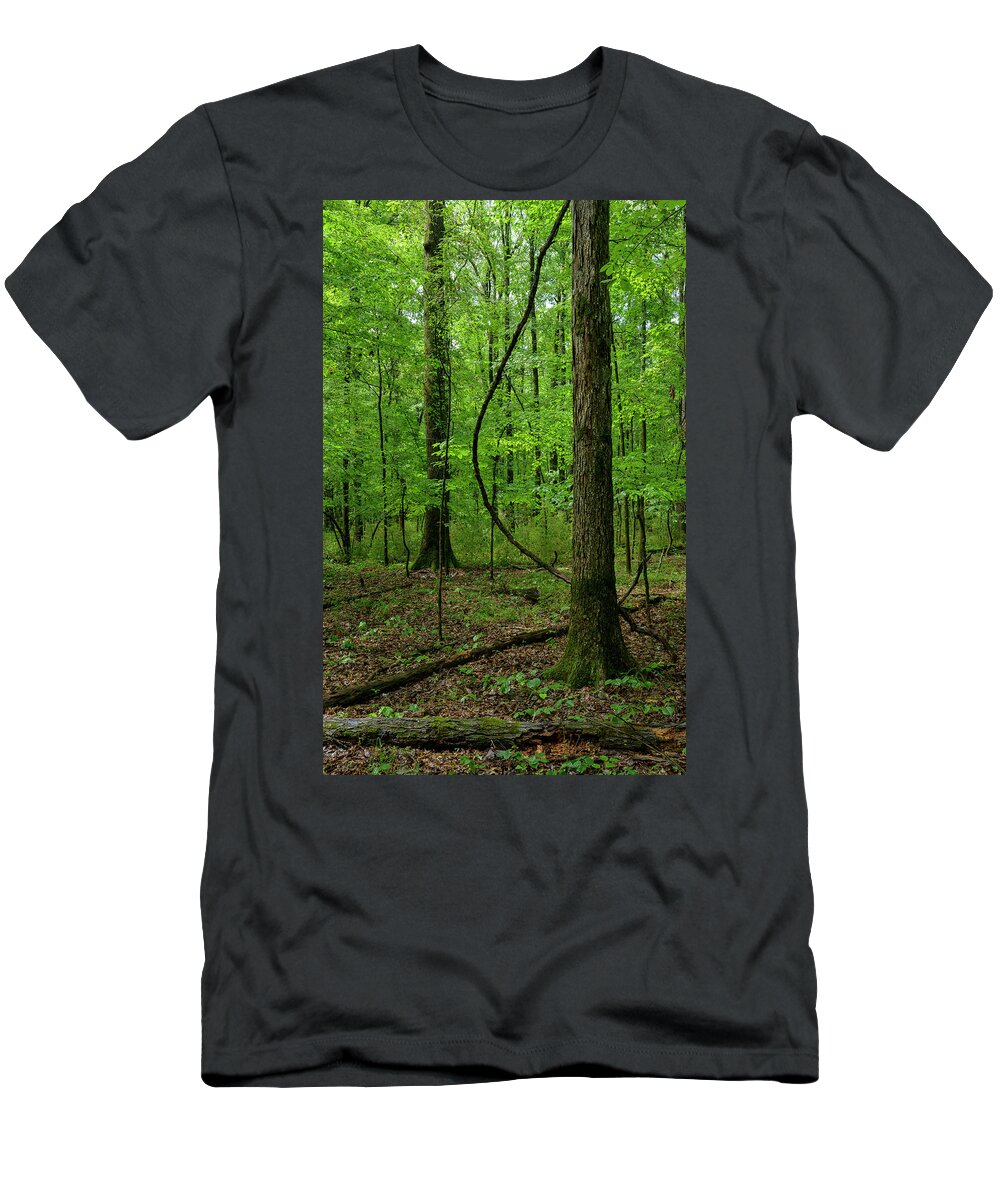 Landscape T-Shirt featuring the photograph Swinging Liana by James Covello