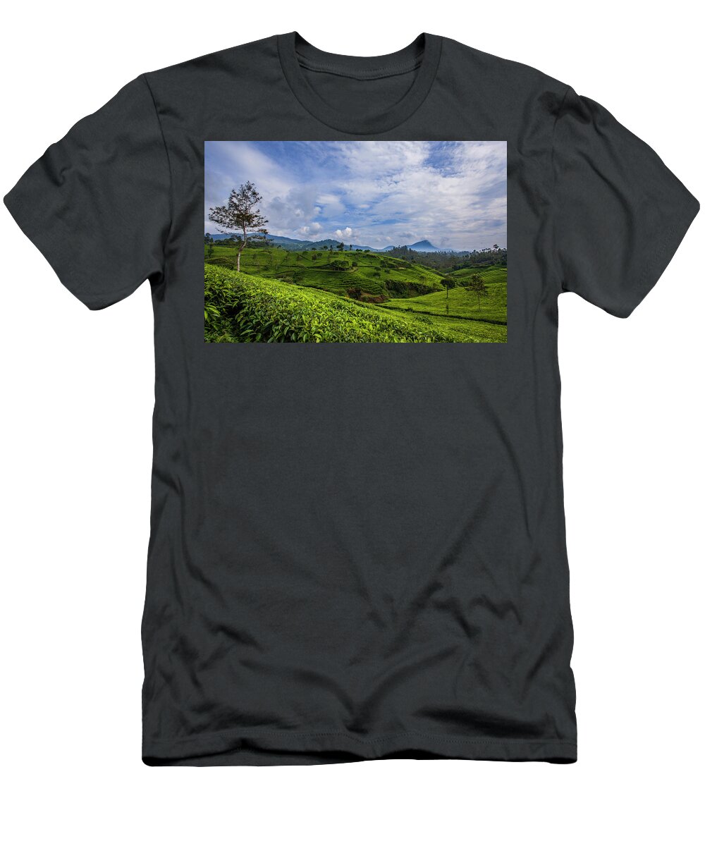 Landscape T-Shirt featuring the photograph Tea Plantation by Irman Andriana