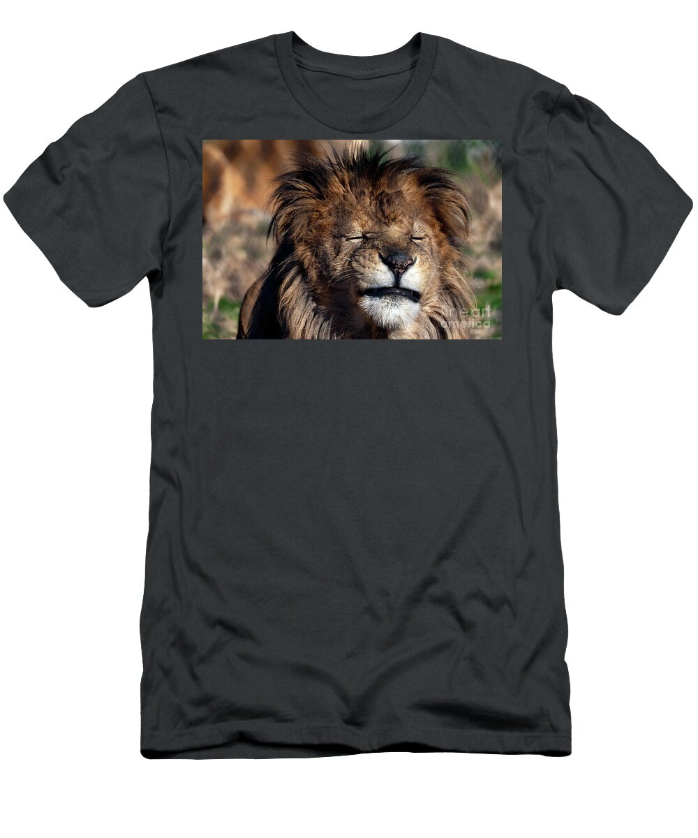 Lion T-Shirt featuring the photograph That zebra gave me heartburn by Sam Rino