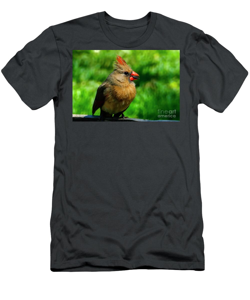 Wildlife T-Shirt featuring the photograph The Female Cardinal by Sandra J's