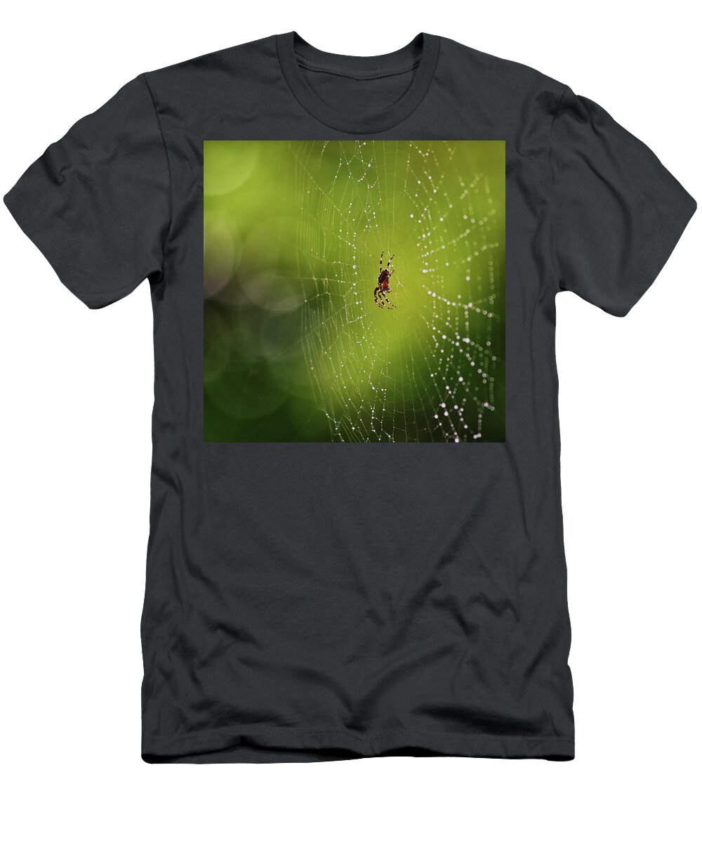 Spider T-Shirt featuring the photograph The great architect in the morning light by Tatiana Travelways