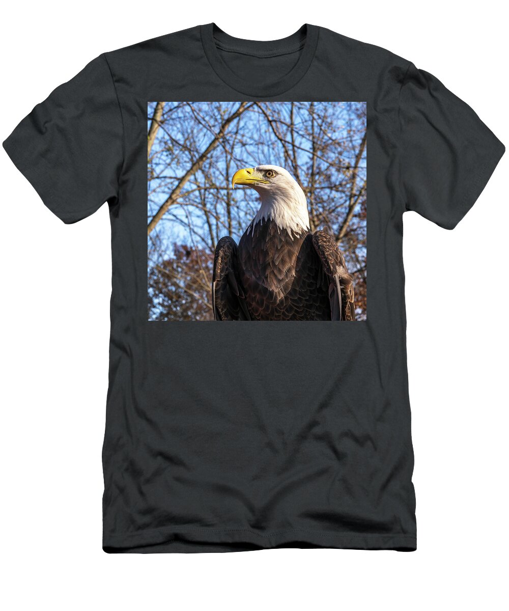 Eagle T-Shirt featuring the photograph The Look by Laura Hedien