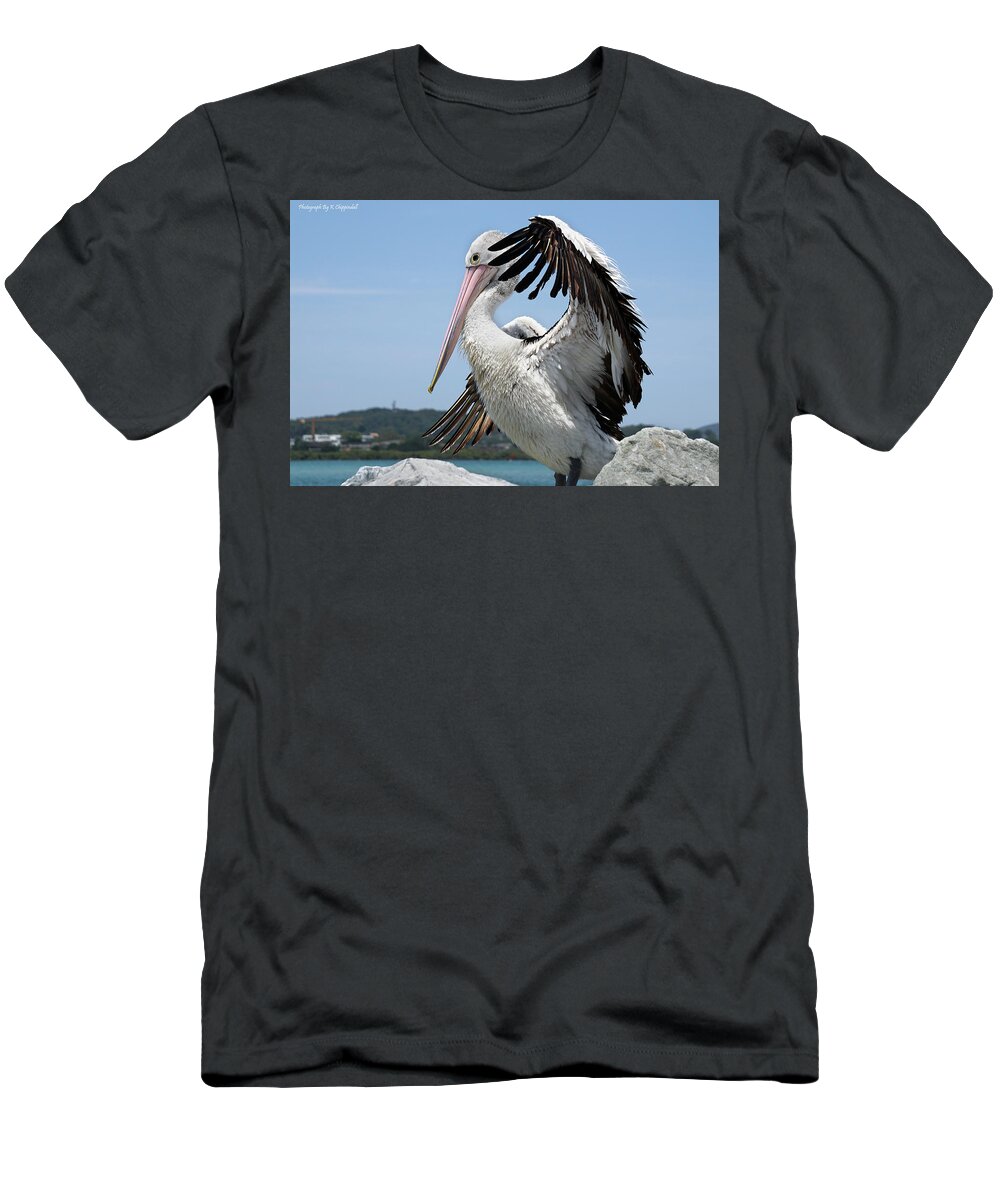 Pelicans Australia  T-Shirt featuring the digital art The love of pelicans 02 by Kevin Chippindall