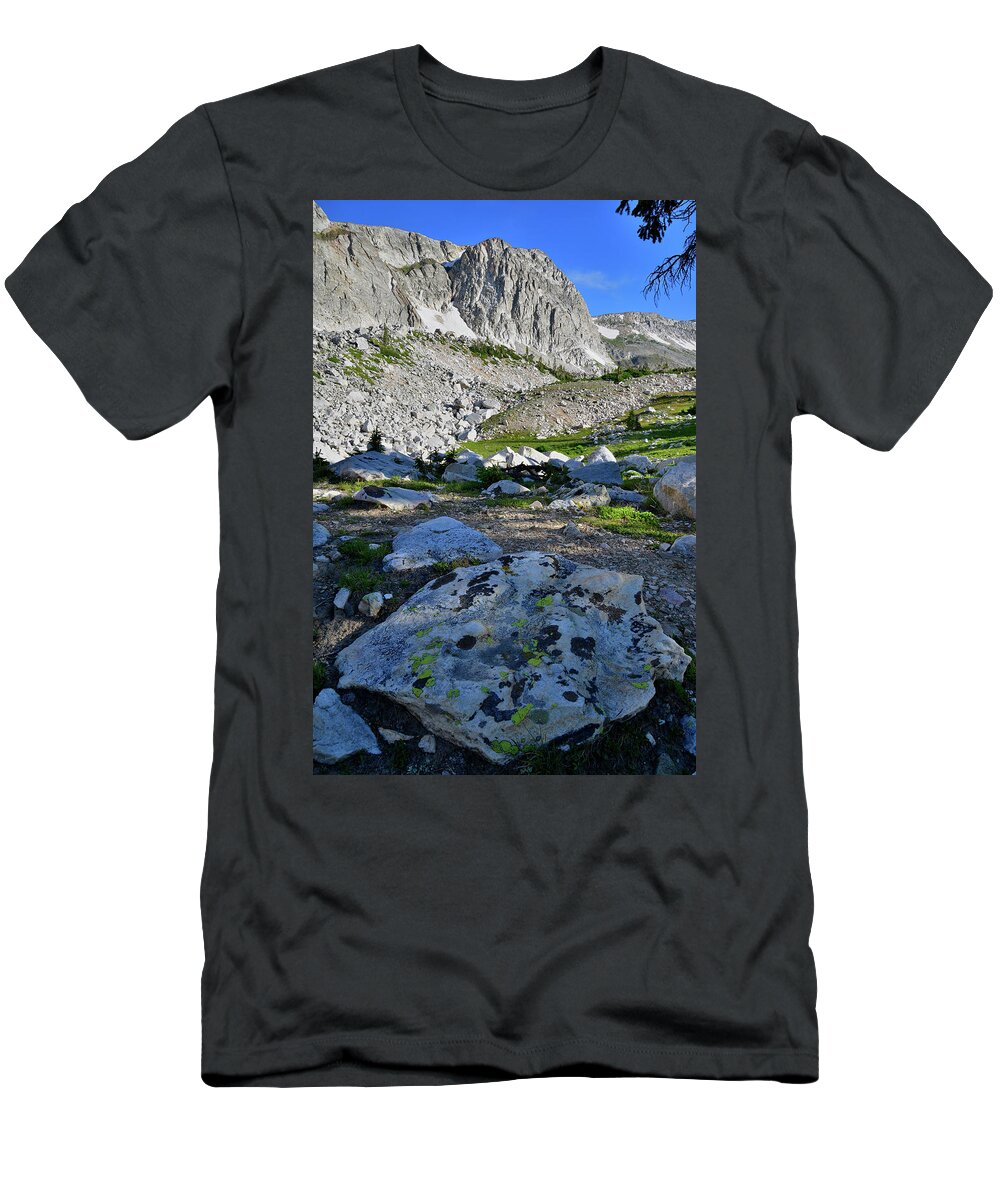 Snowy Range Mountains T-Shirt featuring the photograph The Snowy Range of Wyoming by Ray Mathis