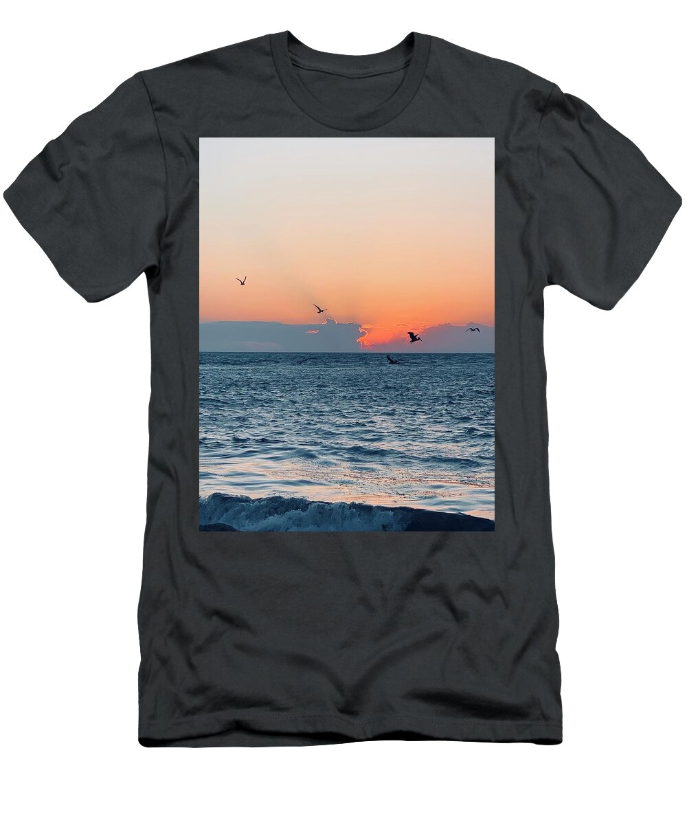 Birds T-Shirt featuring the photograph Captiva Island The Sunset Seabird Feast 1 by Shelly Tschupp