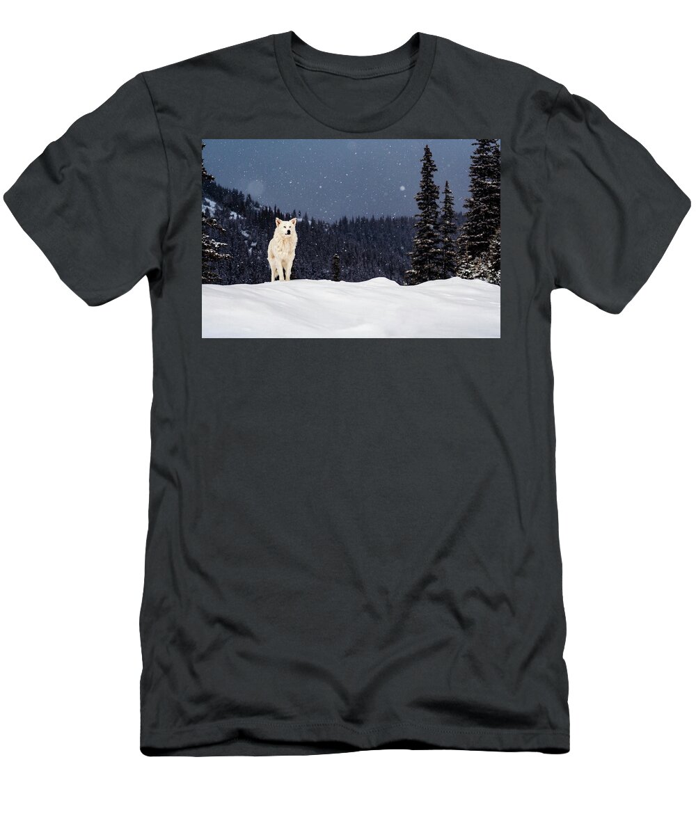 Animals T-Shirt featuring the photograph The Wolf by Evgeni Dinev