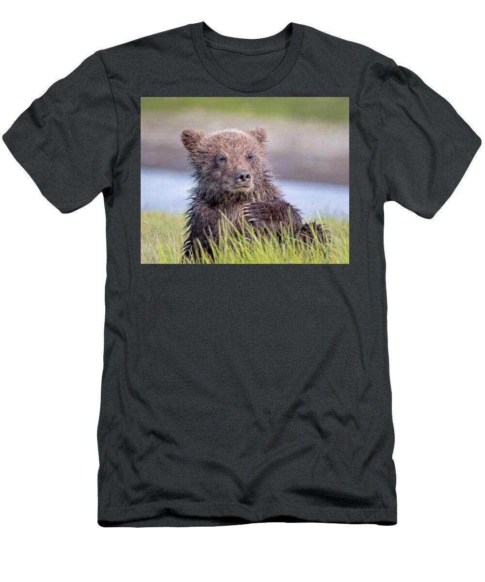 Grizzly Bear T-Shirt featuring the photograph Thinking it Over by Jack Bell