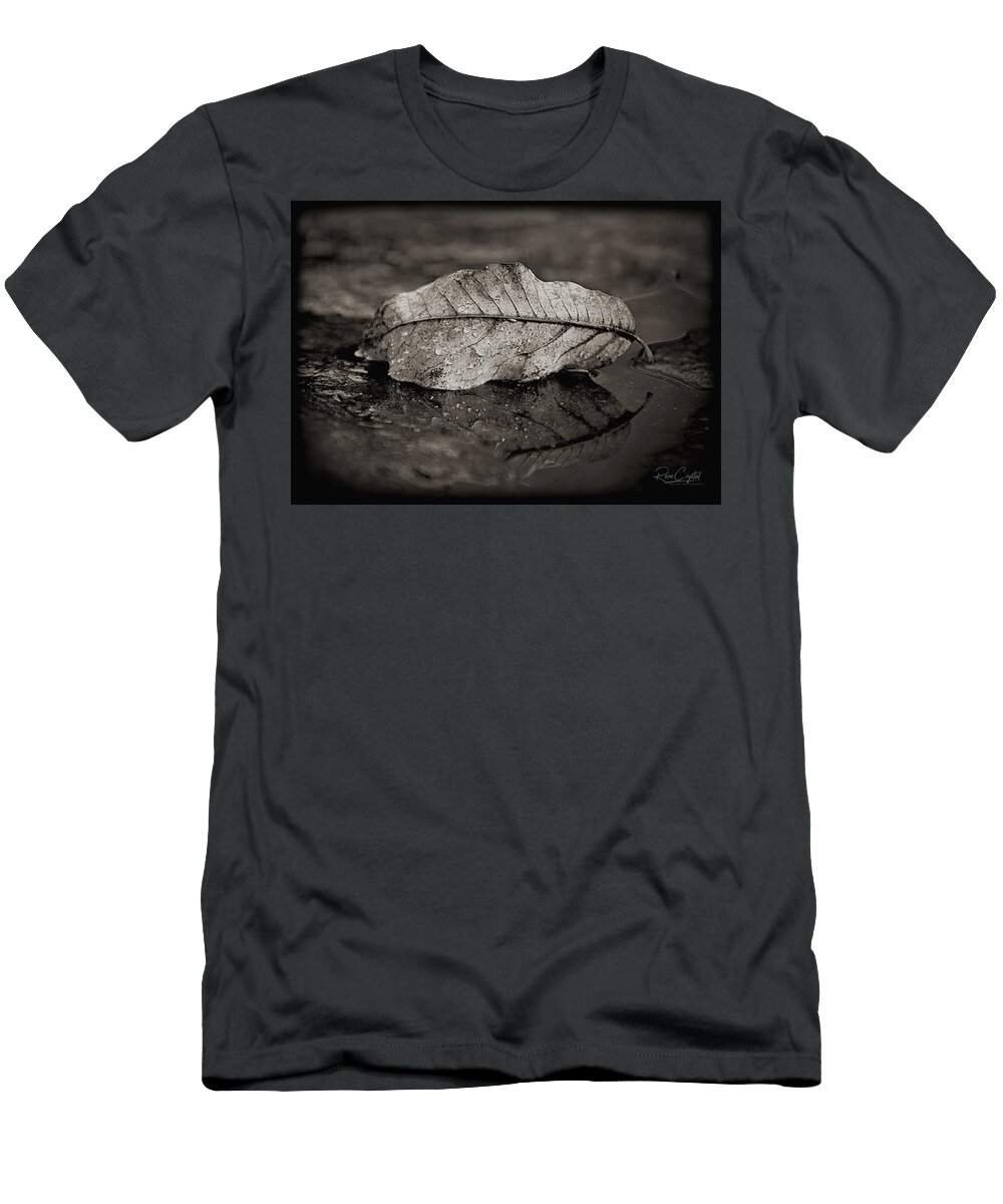 Fall T-Shirt featuring the photograph This Fall I Fell... by Rene Crystal