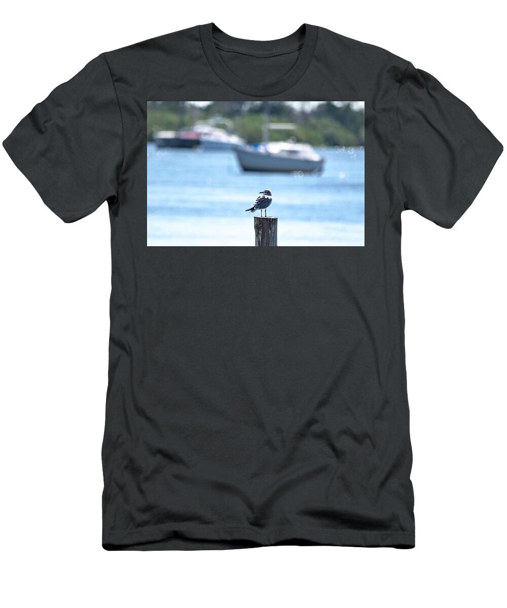 Laughing Gull T-Shirt featuring the photograph This is Florida by Mary Ann Artz