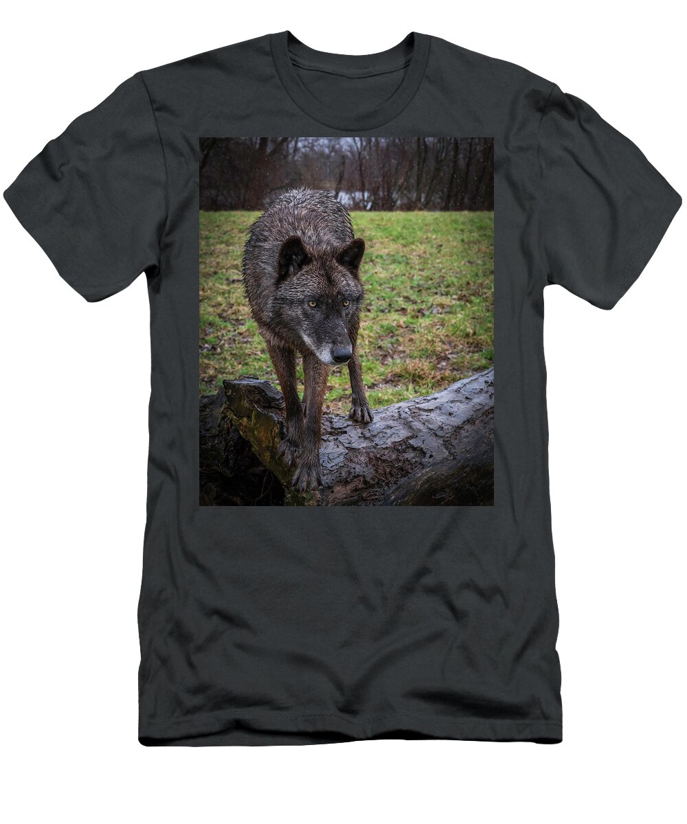 Black Wolf Wolves T-Shirt featuring the photograph This is my Log by Laura Hedien