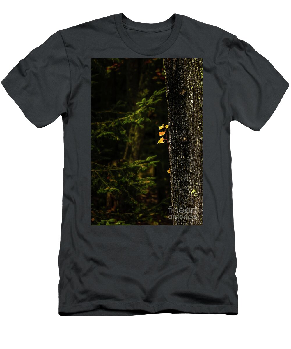Autumn T-Shirt featuring the photograph This Little Light of Mine by Elizabeth Dow