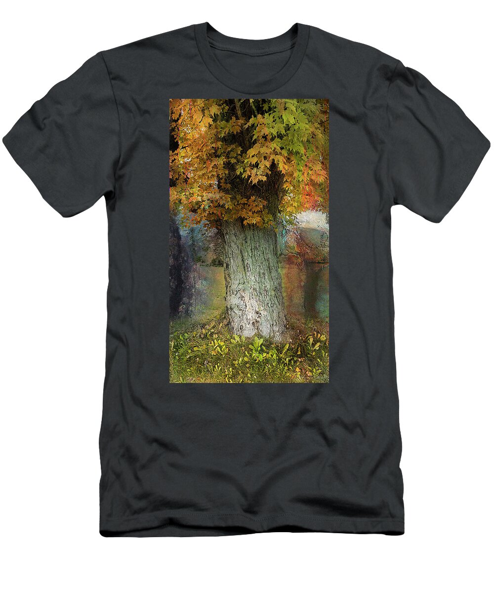 Tree T-Shirt featuring the photograph This Old Tree by John Rivera