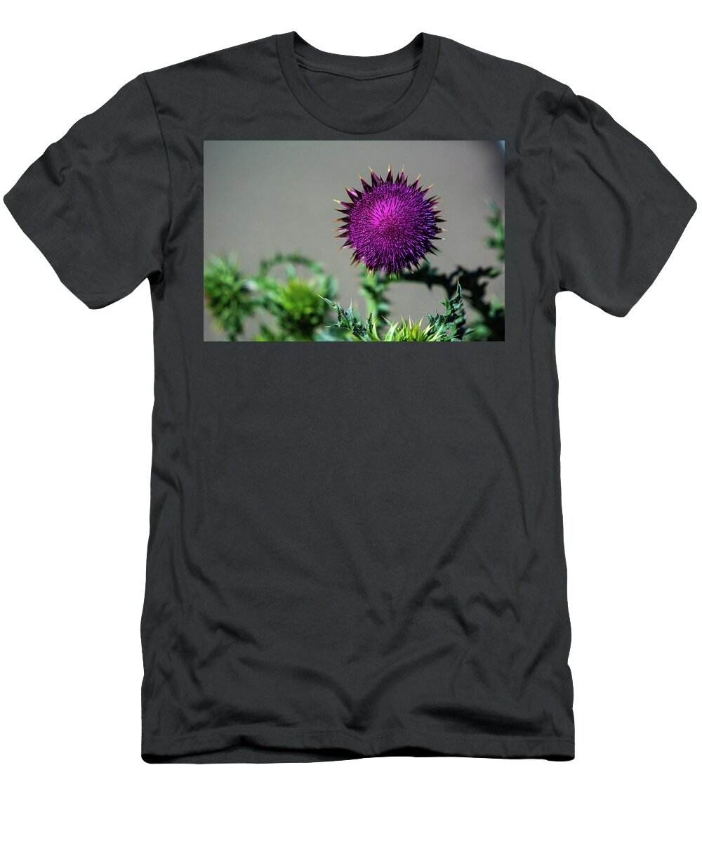 Canadian Thistle T-Shirt featuring the photograph Thistle Do Nicely by Douglas Wielfaert