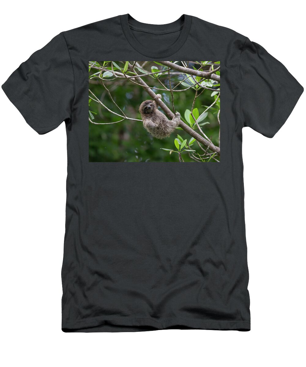 Suzi Eszterhas T-Shirt featuring the photograph Three Toed Sloth Baby In Tree by Suzi Eszterhas