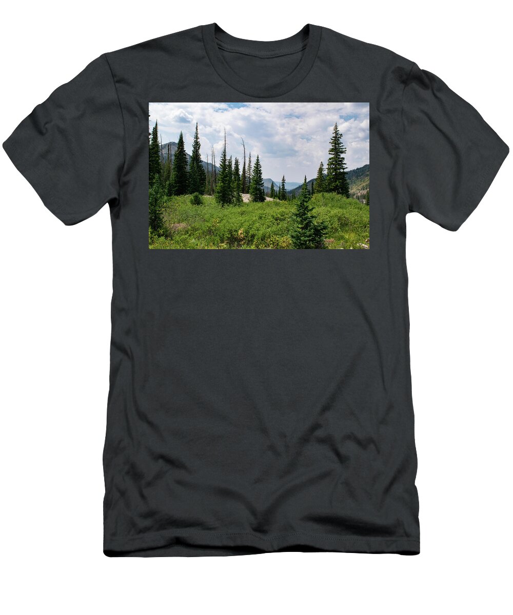 Mountain T-Shirt featuring the photograph Trail to Gilpin Lake by Nicole Lloyd