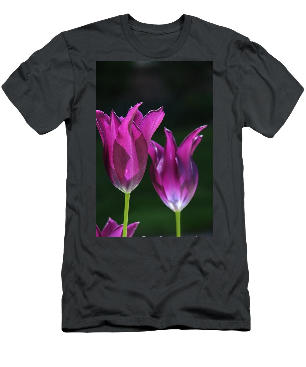  T-Shirt featuring the photograph Translucent Tulips by Susie Rieple