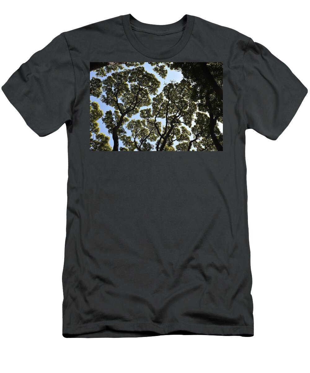 Trees T-Shirt featuring the photograph Tree Canopy by Ben Foster